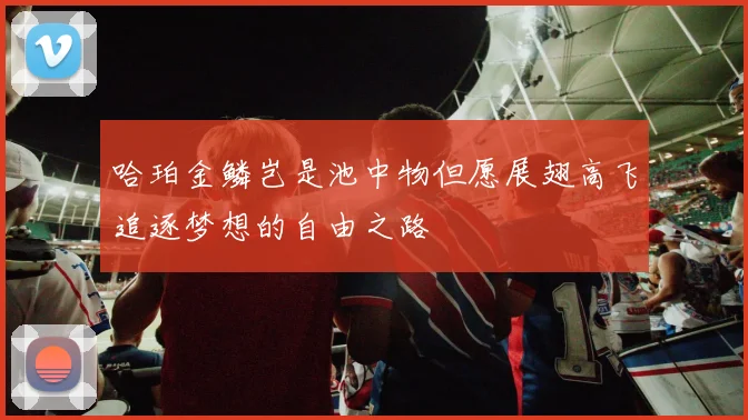 哈珀金鳞岂是池中物但愿展翅高飞追逐梦想的自由之路