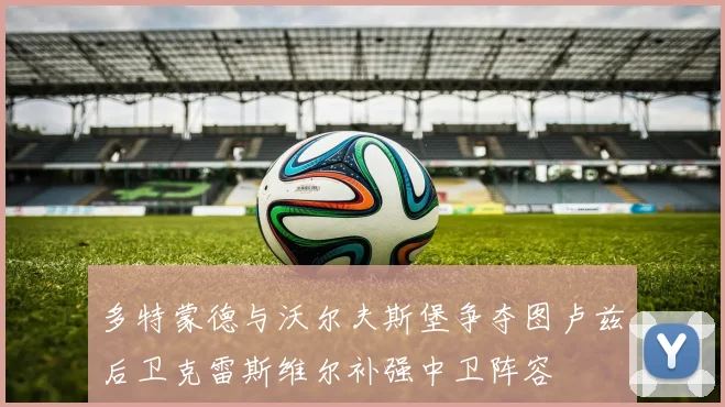 多特蒙德与沃尔夫斯堡争夺图卢兹后卫克雷斯维尔补强中卫阵容